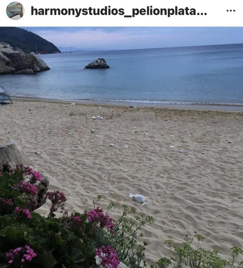 Harmony Seaside Pelion Apartment Platanias  Luaran gambar