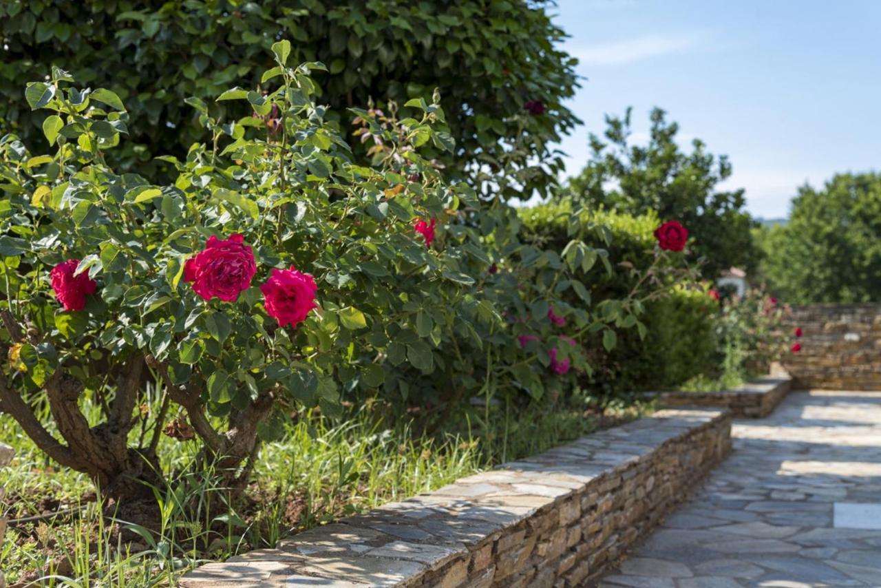 Harmony Seaside Pelion Apartment Platanias  Luaran gambar